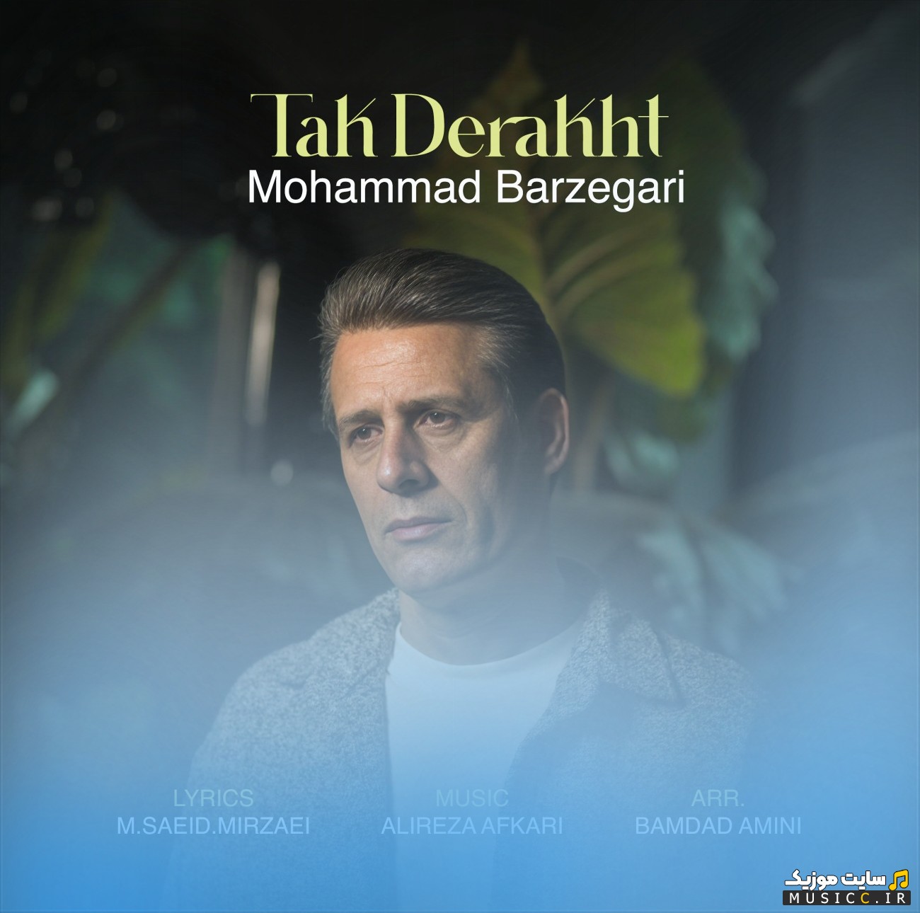 آهنگ جدید تک درخت از محمد برزگری {Mohammad Barzegari} با بهترین کیفیت
