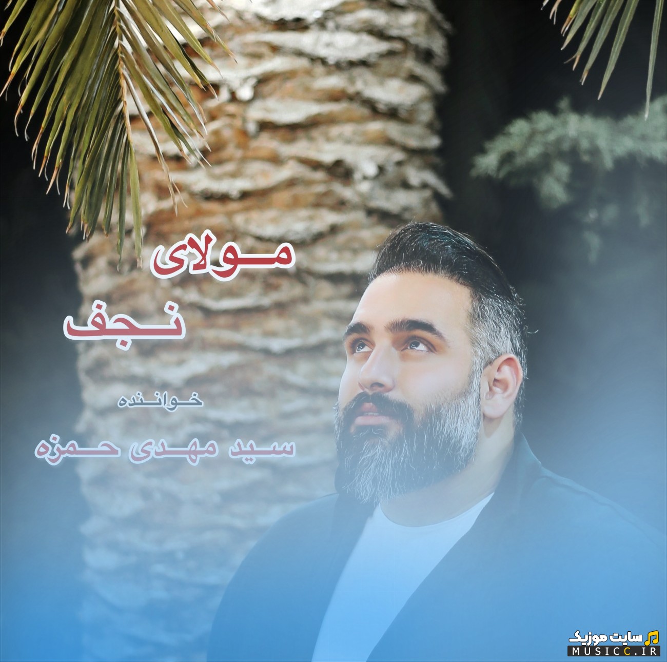 دانلود آهنگ سید مهدی حمزه با نام مولای نجفی (Seyed Mehdi Hamzeh - Molaye Najaf) + کیفیت 320