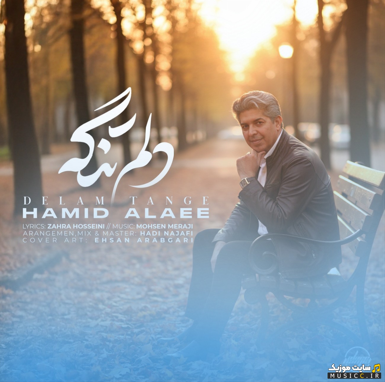 اهنگ جدید حمید علایی دلم تنگه {Hamid Alaee} کیفیت اصلی