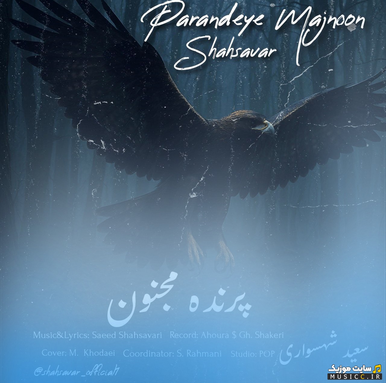 آهنگ جدید سعید شهسواری (شهسوار) با اسم پرنده مجنون همراه متن