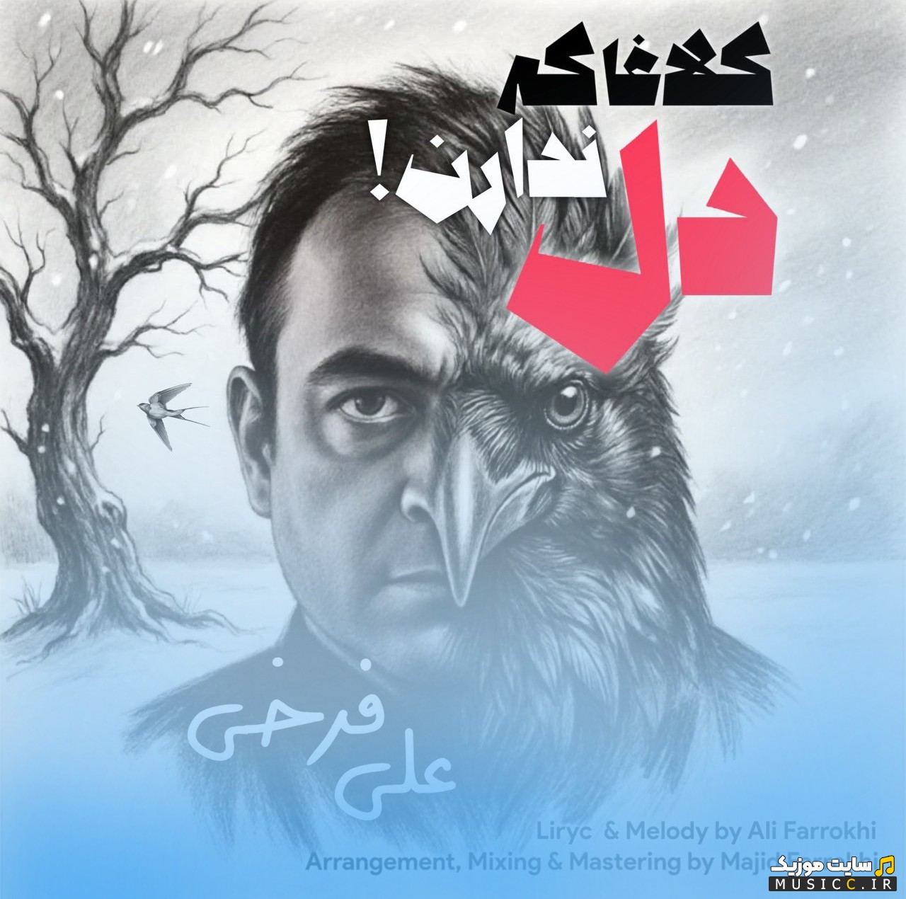 آهنگ جدید علی فرخی با نام کلاغا که دل ندارن + متن کامل