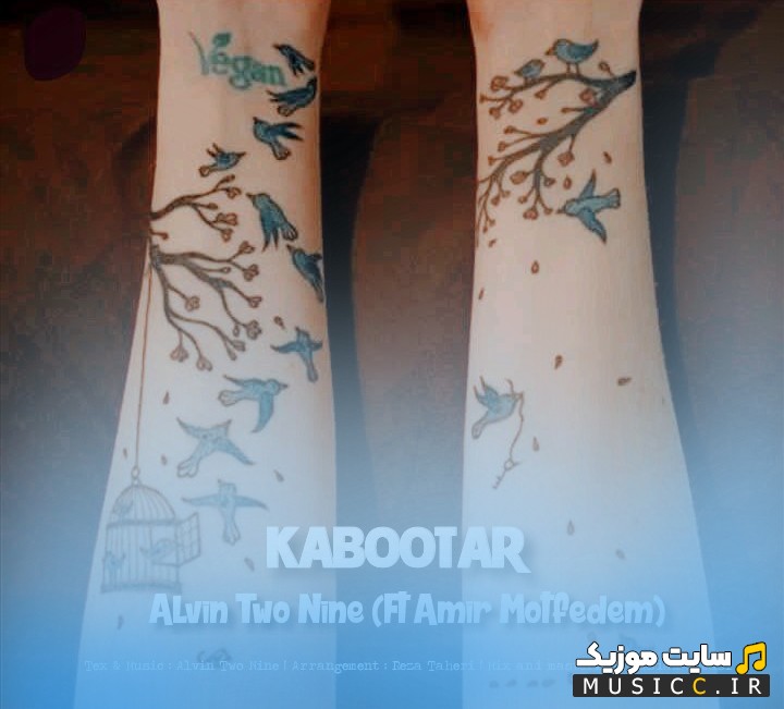 دانلود اهنگ کبوتر از آلوین تو ناین و امیر متفدم (Kabootar (ft Amir Motfedem) - Alvin Two Nine) با متن (کامل)