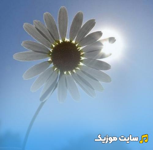 دانلود آهنگ غریب آشنا با صدای ارغوان (کامل)