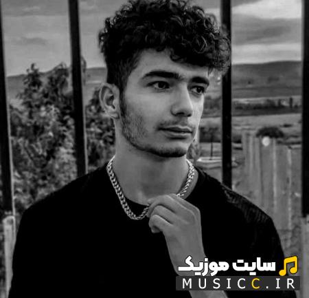 دانلود آهنگ شاه بیت شعرم تک ستاره شویلم ریمیکس