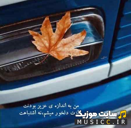 دانلود اهنگ دیدی زدی زیرش دیدی گفتم قلبی نداری از نیواد ( متن )