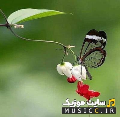 دانلود آهنگ چی‌ بودی چی‌ شدی تو بهم بگو محصول کی‌ بودی تو (کامل + متن ترانه)