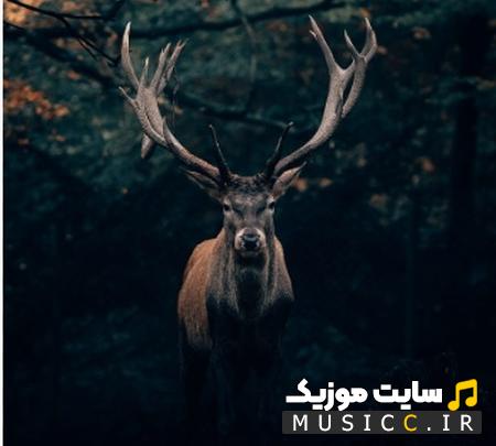 دانلود ریمیکس اهنگ  آهوی منو کردنش شکارش ارشاد ( ترندشده اینستاگرام )