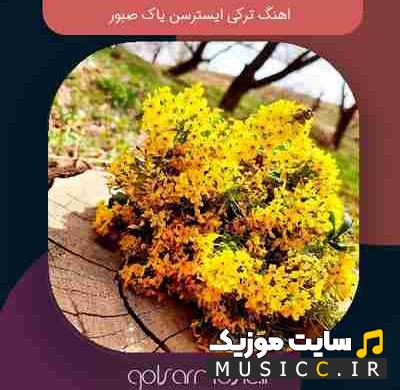 دانلود آهنگ ترکی ایسترسن یاک صبور از بورای ریمیکس