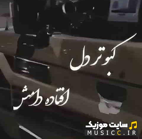 دانلود آهنگ کبوتر دل افتاده دامش ریمیکس اینستاگرام