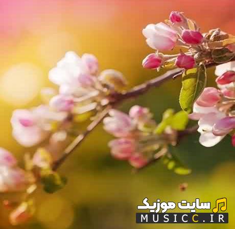 پلی لیست آهنگ جدید آرامش دهنده طبیعت / ملایم و آرام
