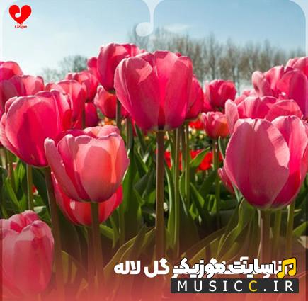 دانلود آهنگ های تیتراژ سریال عمر گل لاله