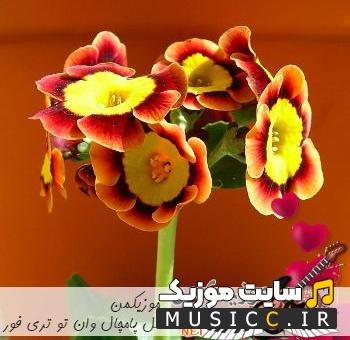 دانلود اهنگ های بندری گل پامچال با ارگ برای عروسی
