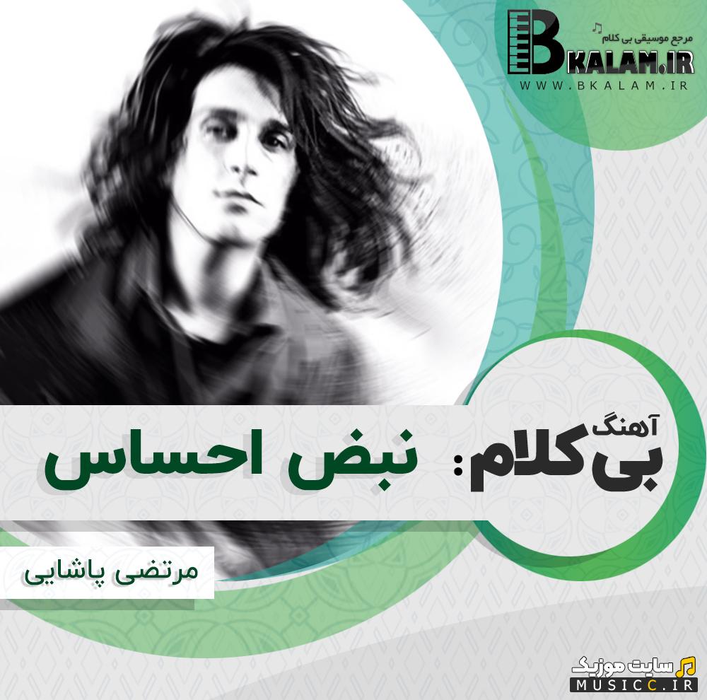 دانلود آهنگ بی کلام نبض احساس از مرتضی پاشایی