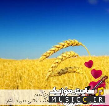 دانلود آهنگ های افغانی معروف اینستاگرام 1404 | شاد و غمگین با بهترین کیفیت MP3