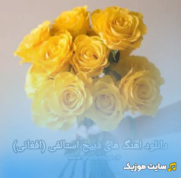 دانلود آهنگ های ذبیح استالفی - گلچین ۱۴۰۵