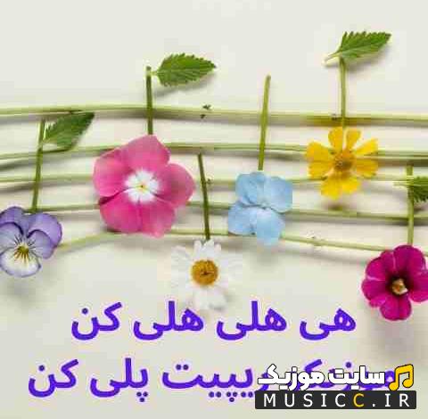 دانلود آهنگ هلی هلی هلی کن موزیکو ریمیکس پلی کن از شری ام