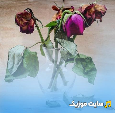 دانلود آهنگ یار عزیزم بی مو جر کرده ریمیکس معروف اینستا