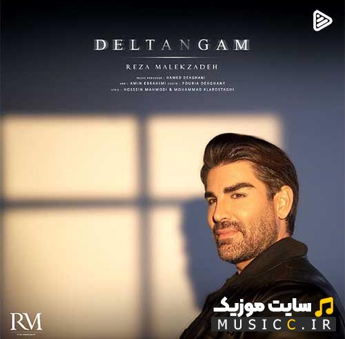 دانلود آهنگ رضا ملک زاده (دلتنگم دلتنگم تو این شبای بی ستاره) - کامل