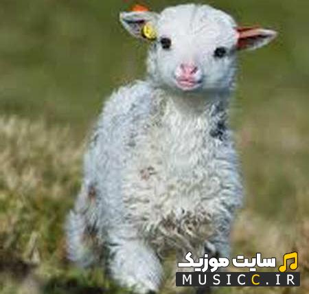 دانلود آهنگ ببعی تو بازیگوشی مثل منی باهوشی کودکانه (کامل)