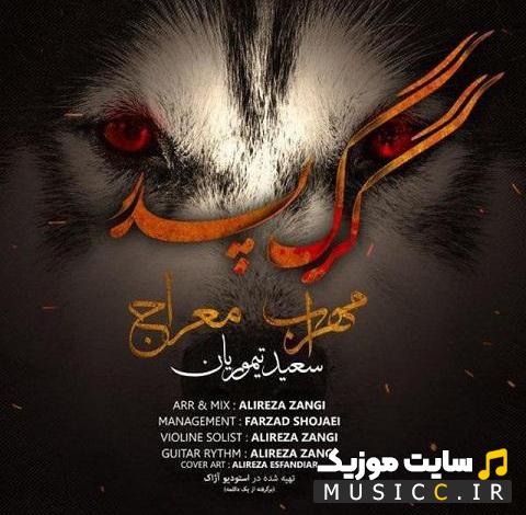 دانلود آهنگ مهراب به نام گرگ پدر (کامل + متن ترانه)
