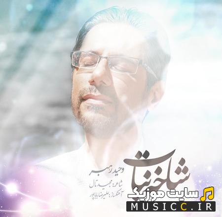 دانلود آهنگ عشق شاخه نبات جای خودش وحید رهبر