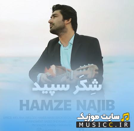 دانلود آهنگ تلخ مکن امید من ای شکر سپید من حمزه نجیب
