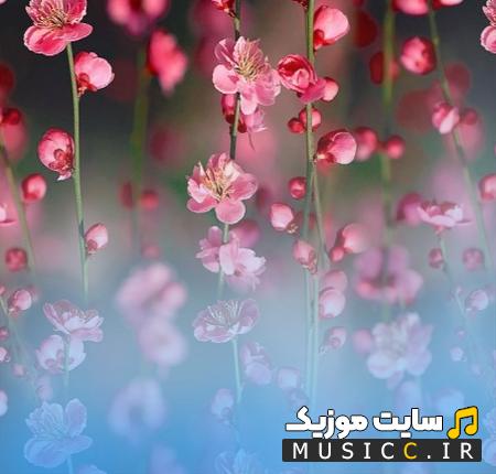 دانلود آهنگ ای گل رویایی ای مظهر زیبایی