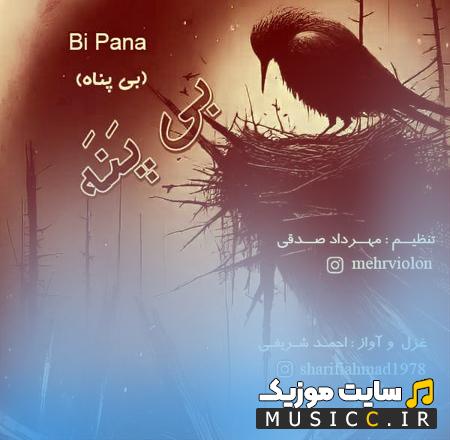 دانلود آهنگ پناهم شو که بی تو بی پناهم از احمد شریفی