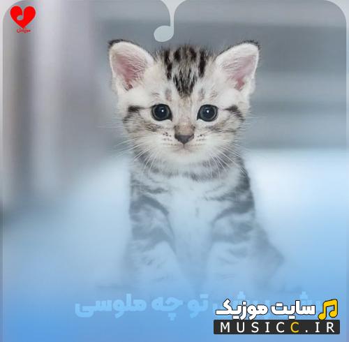 دانلود آهنگ پیشی پیشی تو چه ملوسی دوست من میشی