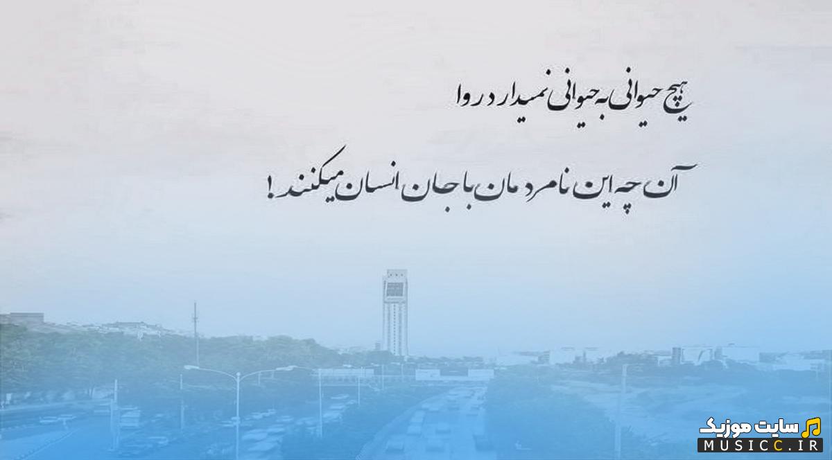 دانلود آهنگ های خارجی زنانه - احساسی و شاد 2026