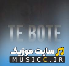 دانلود آهنگ خارجی حذفت کردم (Te Bote) کانر مینارد (Conor Maynard)